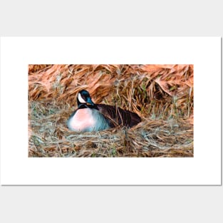 Nesting Goose illustration Posters and Art